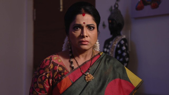 Kumkuma Puvvu - Watch Episode 995 - Jayanthi Learns the Truth on ...