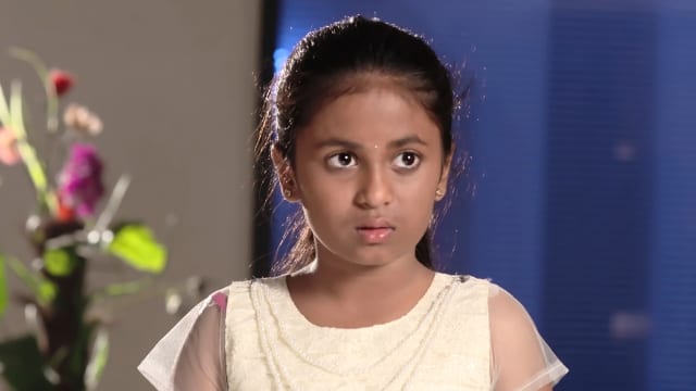 Watch Karthika Deepam Full Episode 366 Online in HD on Hotstar CA