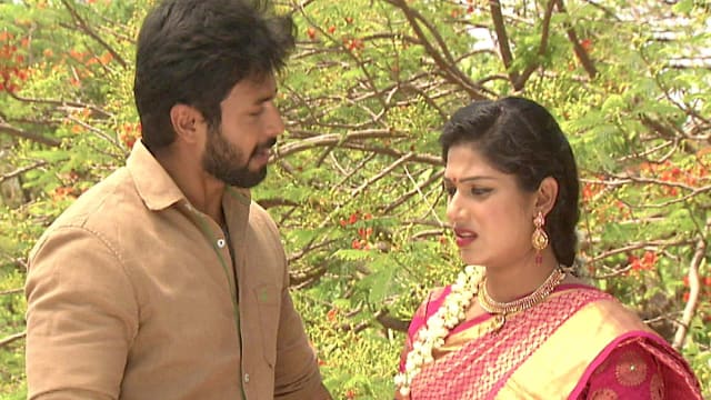 Raja rani serial all episodes in hotstar outlet