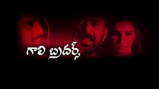 Gaali Brothers Full Movie Online In HD on Hotstar