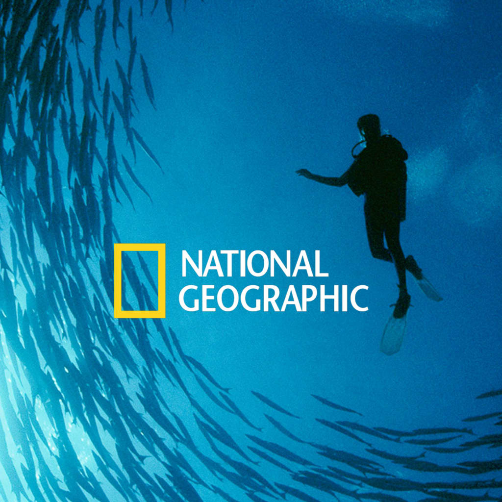 Watch the Best of Nat Geo TV shows, Special Series and Documentaries