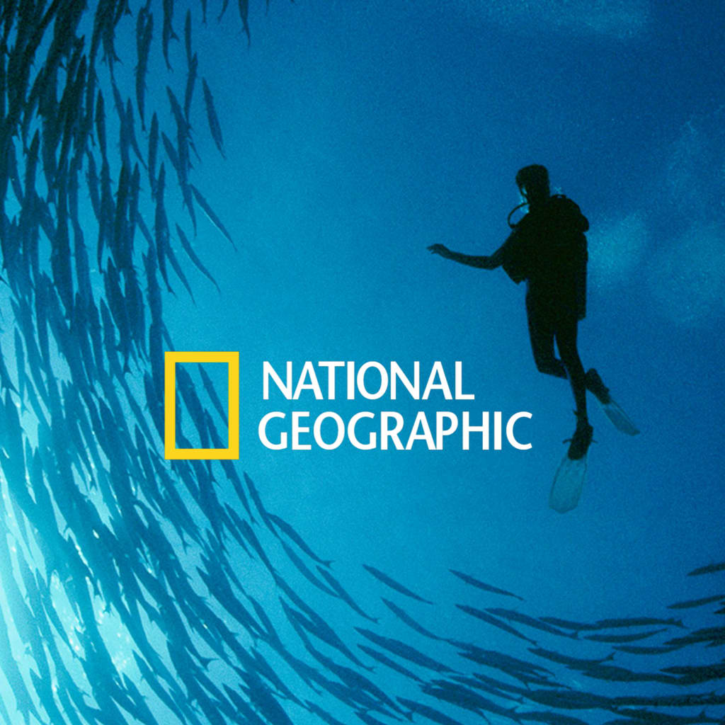 Watch The Best Of Nat Geo Tv Shows Special Series And Documentaries