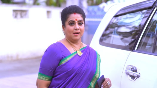 Seetha Kalyanam Disney Hotstar