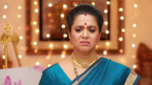 Raja rani serial full episodes in tamil hotstar shop