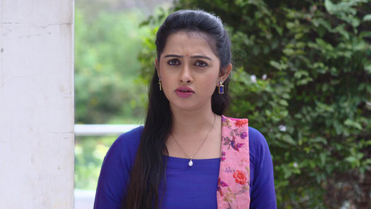 Hgo9omi Xruv M How to watch live star maa in disney hotstar only for subscribers can view live streaming, if not just recently hotstar is not telecasting mahabharat and this is the way to watch mahabharatam without. https www hotstar com in tv kasthuri 1260041623 list episodes t 1 2 3024
