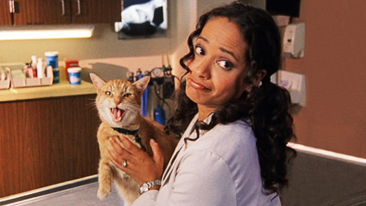 Scrubs season 3 new arrivals stream