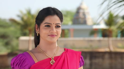 Pandian stores store hotstar live