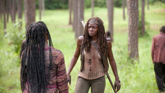 The walking dead hotsell season 4 free online
