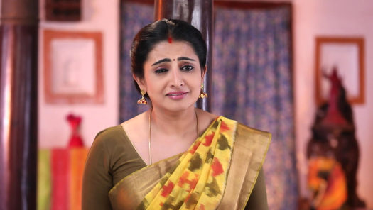 Pandian stores online hotstar hot sale