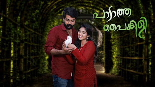 Watch Asianet Serials Shows Online on Disney Hotstar