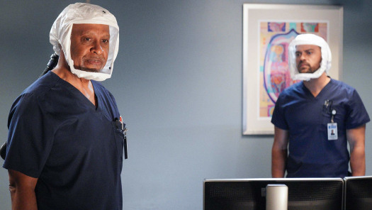 Watch greys anatomy free online season 17 store