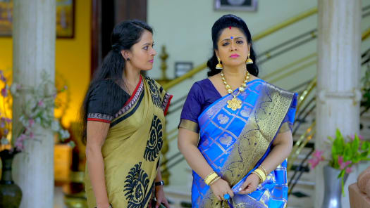 Seetha kalyanam on hot sale hotstar