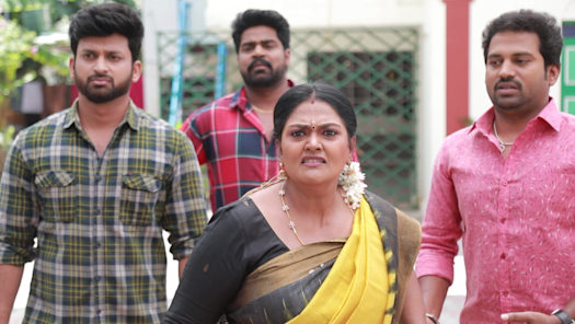 Pandian Stores 2 Full Episode Watch Pandian Stores 2 TV Show