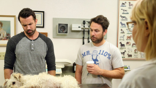 Watch its always sunny on sale season 14