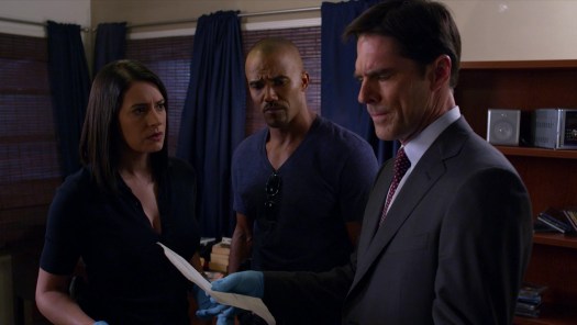 Stream Criminal Minds Season 7
