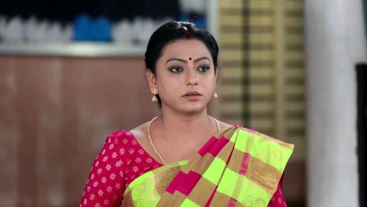 Baakiyalakshmi - Disney+ Hotstar