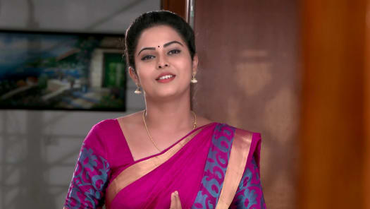 Seetha serial today episode online store