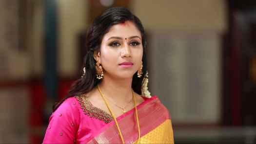 Watch Raja Rani 2 Season 2 Full Episodes on Hotstar