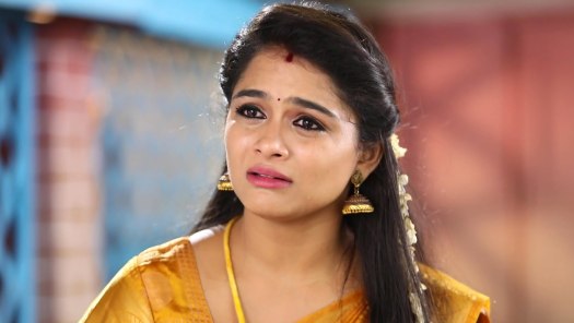 Watch Anbudan Kushi All Latest Episodes Online On Disney Hotstar Full tv show is streaming online in hd on hotstar. hotstar