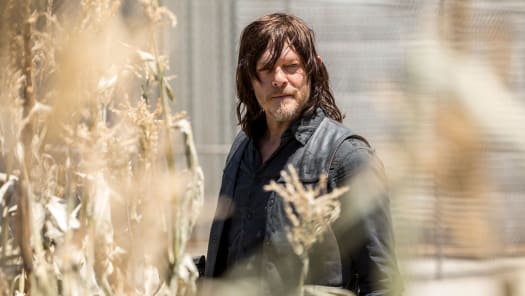 Stream The Walking Dead Season 9