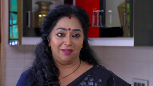 Vanambadi Full Episode Watch Vanambadi Tv Show Online On Hotstar Us Success story of vanambadi serial actress anumol. vanambadi full episode watch vanambadi