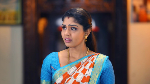 Pandian stores today hotstar hotsell