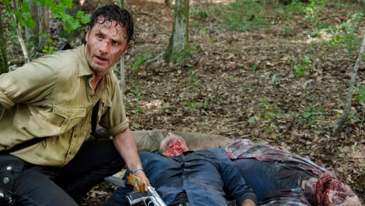 Streaming the walking hot sale dead season 6