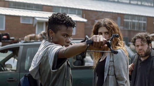 Stream The Walking Dead Season 9