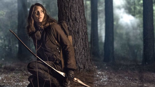 Stream The Walking Dead Season 11