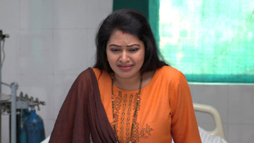 Watch Chitti Talli All Latest Episodes On Hotstar Dev panics when he learns a shocking truth about raja. chitti talli all latest episodes on hotstar