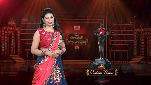 Star Maa Parivaar Awards Disney Hotstar Projects that previously received a 2020 star award in this category are not eligible again for consideration, but the project may enter another category, if applicable, in the 2021 star awards. star maa parivaar awards disney hotstar