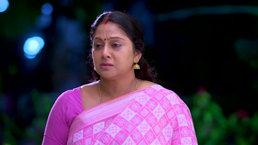 Vanambadi serial 6pm store
