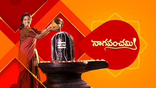 Hotstar zee hotsell tv live