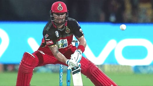 Hindi hot top star cricket