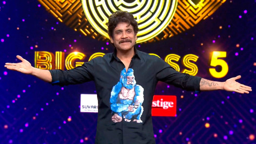 Hotstar telugu bigg cheap boss season 1