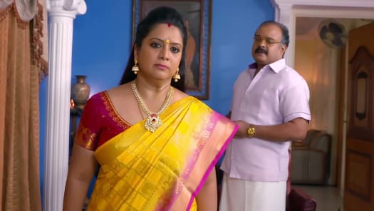 Seetha Kalyanam Disney Hotstar