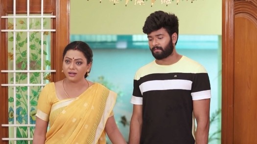 Baakiyalakshmi Disney Hotstar Baakiyalakshmi #newfiction #vijaytv #vijaytelevision #redefiningentertainment #starvijaytv #starvijay #tamiltv. baakiyalakshmi disney hotstar