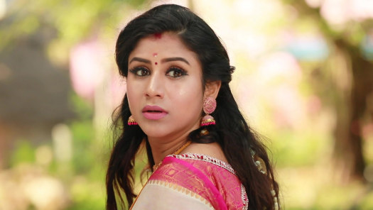 Watch Raja Rani 2 Season 2 Full Episodes On Disney Hotstar This show has two seasons.1 both the show was produced by global villagers and directed by praveen bennet. watch raja rani 2 season 2 full