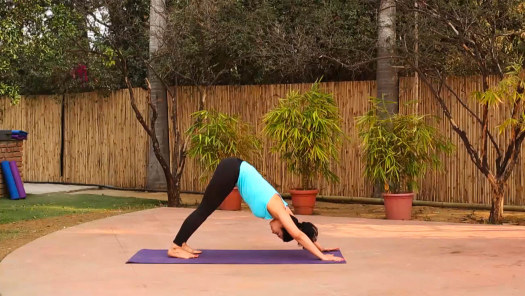 Sports Skills With Jeeth Devaiah Disney Hotstar Shreya ghoshal jeet gannguli _ kunal kohli & jennif.