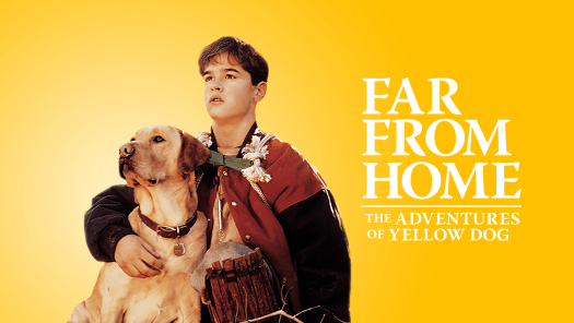 Far From Home The Adventures Of Yellow Dog Disney Hotstar Premium