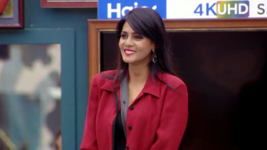 Watch Bigg Boss Season 3 Full Episodes 