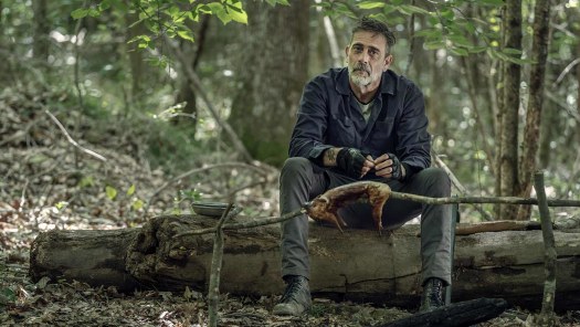 Europix walking 2025 dead season 10