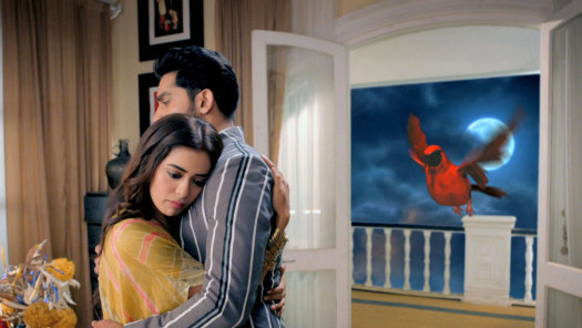 Divya drishti today discount episode watch online