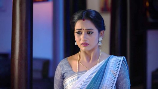 Pandian Stores 2 Full Episode Watch Pandian Stores 2 TV Show