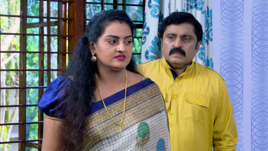 Vanambadi serial watch online clearance free