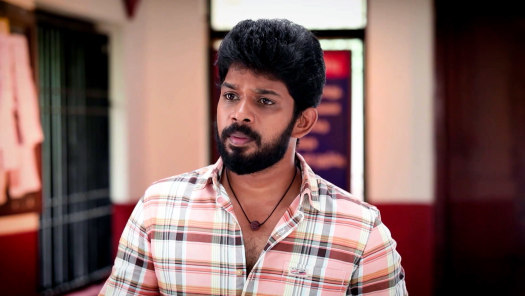 Pandian Stores 2 Full Episode Watch Pandian Stores 2 TV Show
