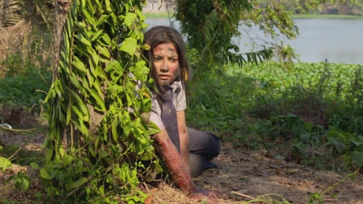 Titli Disney Hotstar শ্রীময়ী আজকের ফুল এপিসোড। star jalsha serial sreemoyee today full episode #sreemoyee #fullepisode #starjalsha. titli disney hotstar