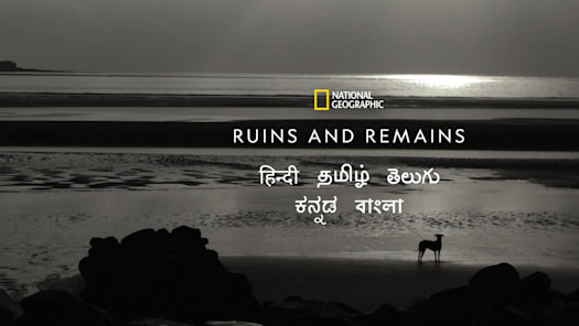 Watch nat online geo online