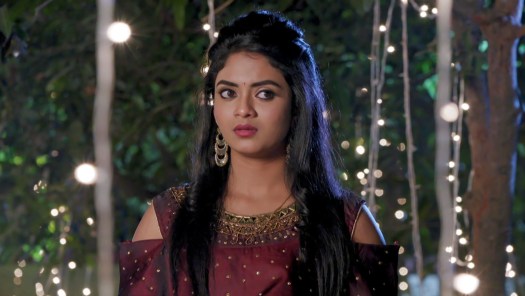 Chelleli kapuram serial best sale today full episode