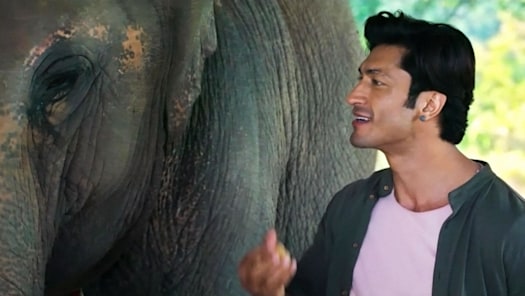 Junglee hotstar sale